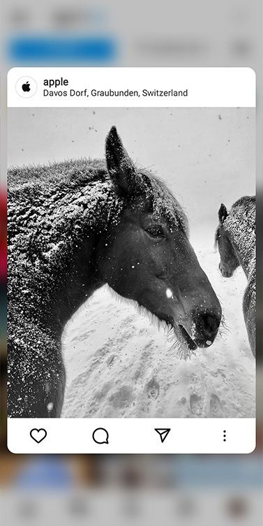 Redes sociales Apple