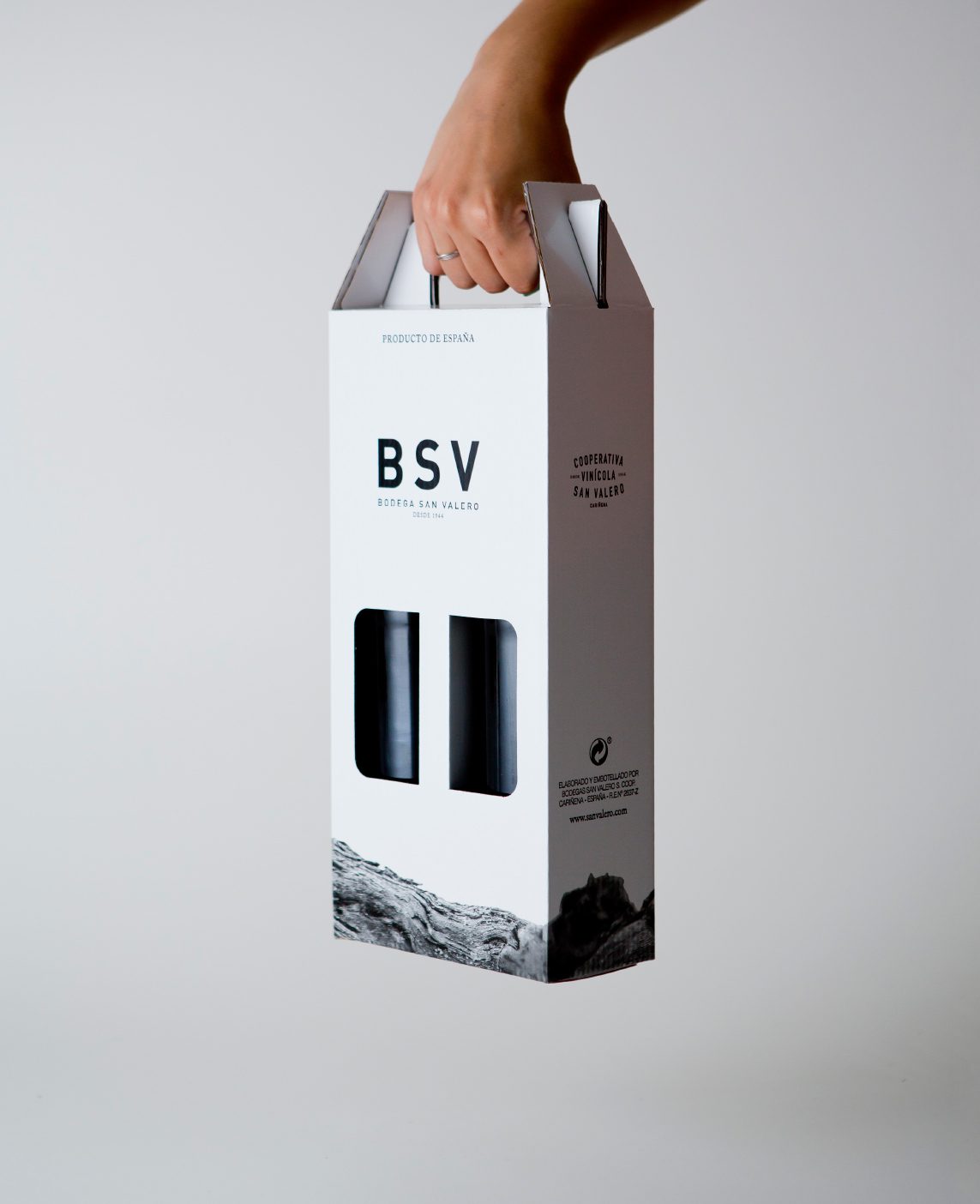 Caja identidad corporativa BSV