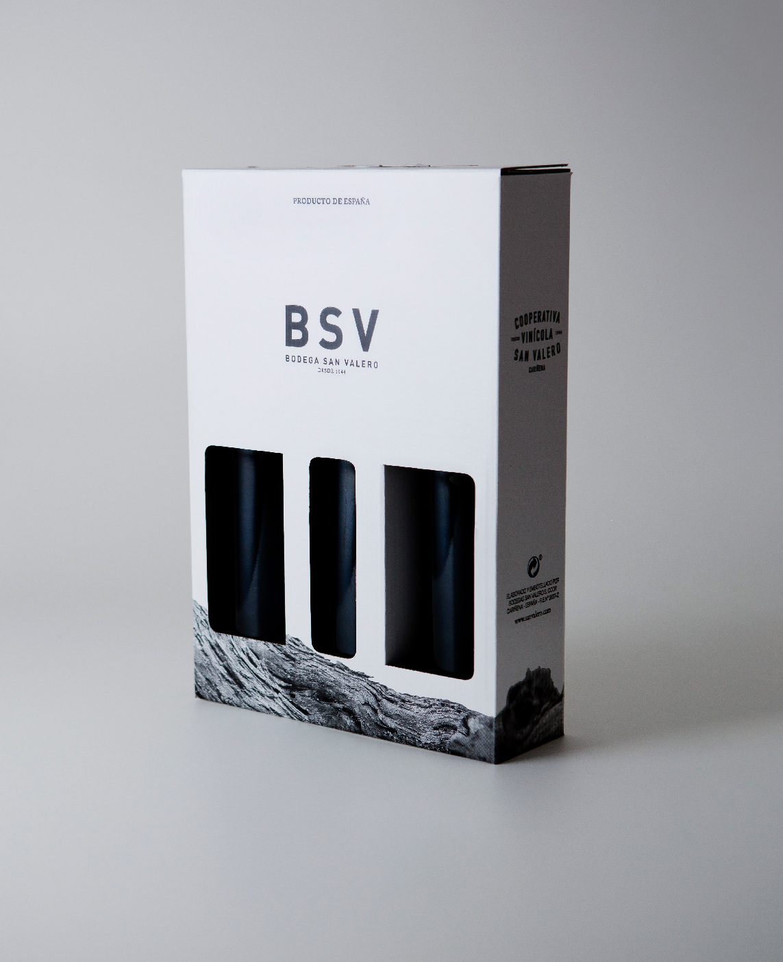 Caja identidad corporativa BSV